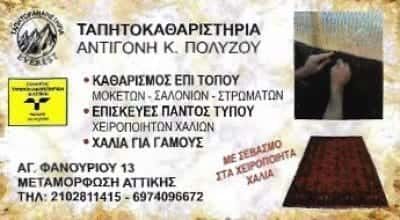 ΠΟΛΥΖΟΥ ΑΝΤΙΓΟΝΗ – ΤΑΠΗΤΟΚΑΘΑΡΙΣΤΗΡΙΟ ΜΕΤΑΜΟΡΦΩΣΗ ΑΤΤΙΚΗΣ