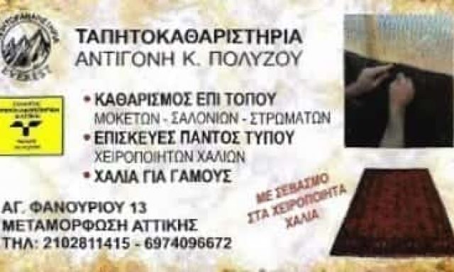 ΠΟΛΥΖΟΥ ΑΝΤΙΓΟΝΗ – ΤΑΠΗΤΟΚΑΘΑΡΙΣΤΗΡΙΟ ΜΕΤΑΜΟΡΦΩΣΗ ΑΤΤΙΚΗΣ