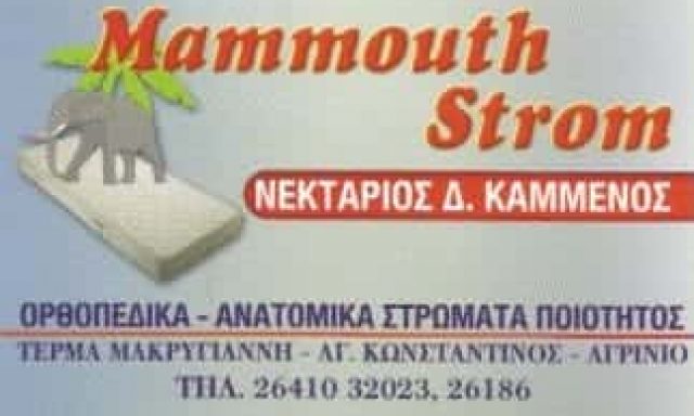 ΚΑΜΜΕΝΟΣ ΝΕΚΤΑΡΙΟΣ | MAMMOUTH STROM | ΣΤΡΩΜΑΤΑ | ΑΓΡΙΝΙΟ ΑΙΤΩΛΟΑΚΑΡΝΑΝΙΑ