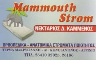 ΚΑΜΜΕΝΟΣ ΝΕΚΤΑΡΙΟΣ | MAMMOUTH STROM | ΣΤΡΩΜΑΤΑ | ΑΓΡΙΝΙΟ ΑΙΤΩΛΟΑΚΑΡΝΑΝΙΑ