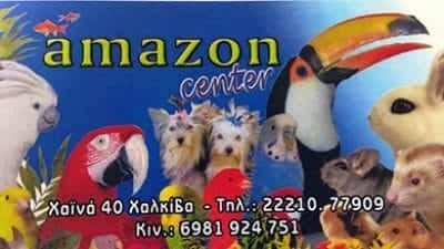 ΠΑΠΑΜΗΤΡΟΥ ΔΗΜΗΤΡΙΟΣ – AMAZON CENTER – PET SHOP ΧΑΛΚΙΔΑ ΕΥΒΟΙΑΣ