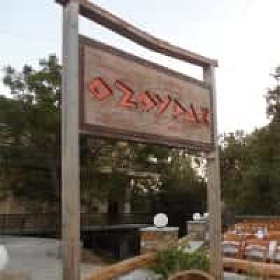 ΜΠΑΜΠΑΝΙΩΤΗΣ ΘΕΟΔΩΡΟΣ – ΤΑΒΕΡΝΑ ΨΗΤΟΠΩΛΕΙΟ Ο ΖΟΥΡΑΣ – ΚΑΡΥΣΤΟΣ ΑΛΑΜΑΝΑΙΙΚΑ ΕΥΒΟΙΑ