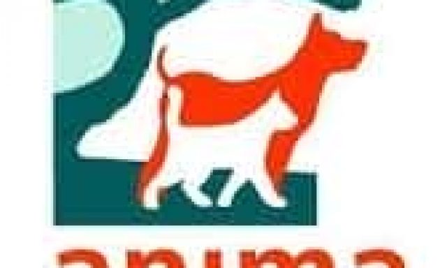 ΒΟΥΓΑΖΙΑΝΟΣ ΕΜΜΑΝΟΥΗΛ – ΚΤΗΝΙΑΤΡΟΣ ΚΤΗΝΙΑΤΡΕΙΟ ΑΝΙΜΑ – ΧΙΟΣ