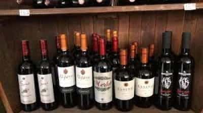 CAVA SPYRELLIS – ΣΠΥΡΕΛΛΗΣ ΕΛΕΥΘΕΡΙΟΣ- ΚΑΒΑ – ΝΕΑ ΜΟΥΔΑΝΙΑ ΧΑΛΚΙΔΙΚΗ