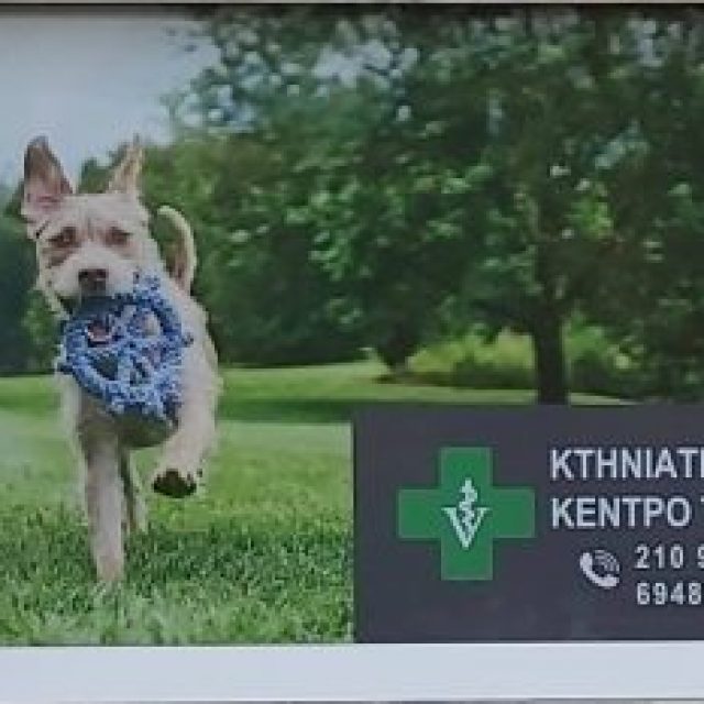 ΔΑΝΑ ΣΤΥΛΙΑΝΗ – ΚΤΗΝΙΑΤΡΙΚΟ ΚΕΝΤΡΟ – ΤΖΙΤΖΙΦΙΕΣ ΚΑΛΛΙΘΕΑ ΑΤΤΙΚΗ