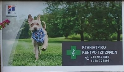 ΔΑΝΑ ΣΤΥΛΙΑΝΗ – ΚΤΗΝΙΑΤΡΙΚΟ ΚΕΝΤΡΟ – ΤΖΙΤΖΙΦΙΕΣ ΚΑΛΛΙΘΕΑ ΑΤΤΙΚΗ