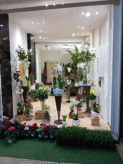 ΠΥΡΟΜΑΛΗΣ ΝΙΚΟΛΑΟΣ – FLOWER CENTER – ΑΝΘΟΠΩΛΕΙΟ ΑΘΗΝΑ ΑΤΤΙΚΗ