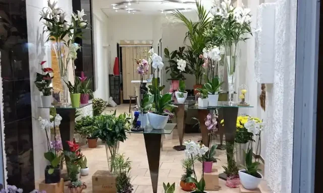 ΠΥΡΟΜΑΛΗΣ ΝΙΚΟΛΑΟΣ – FLOWER CENTER – ΑΝΘΟΠΩΛΕΙΟ ΑΘΗΝΑ ΑΤΤΙΚΗ