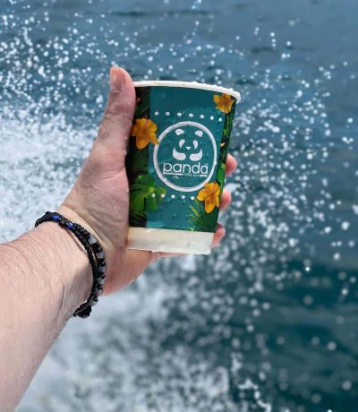 PANDA COFFEE SPOT – MUSTAFA ALDORANDO – ΚΑΦΕΤΕΡΙΑ – ΑΜΠΕΛΑΚΙΑ ΣΑΛΑΜΙΝΑ ΑΤΤΙΚΗ