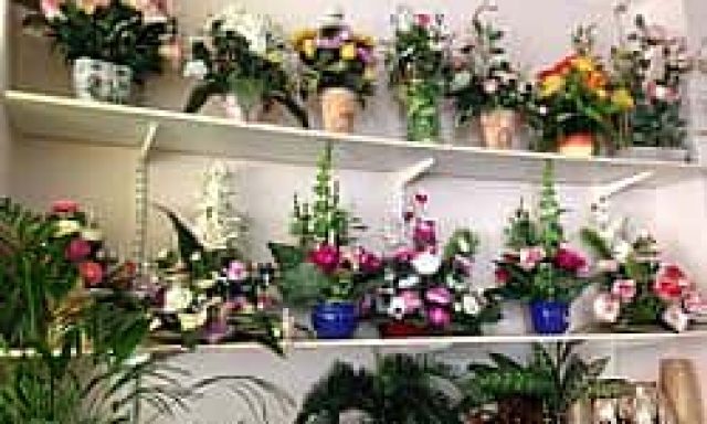 ΛΑΣΚΑΡΗΣ ΚΩΝΣΤΑΝΤΙΝΟΣ – ΑΝΘΟΠΩΛΕΙΑ ΛΑΣΚΑΡΗΣ – ΑΝΘΟΠΩΛΕΙΟ – ΝΕΑ ΦΙΛΑΔΕΛΦΕΙΑ ΑΤΤΙΚΗΣ