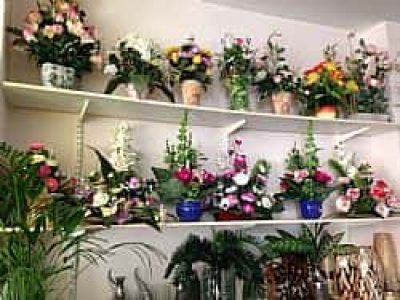 ΛΑΣΚΑΡΗΣ ΚΩΝΣΤΑΝΤΙΝΟΣ – ΑΝΘΟΠΩΛΕΙΑ ΛΑΣΚΑΡΗΣ – ΑΝΘΟΠΩΛΕΙΟ – ΝΕΑ ΦΙΛΑΔΕΛΦΕΙΑ ΑΤΤΙΚΗΣ