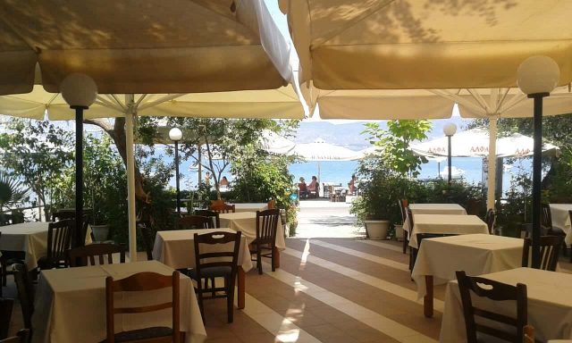 ΣΑΚΚΟΥΛΗ ΕΛΕΝΗ – ΑΓΝΑΝΤΕΜΑ – ΨΑΡΟΤΑΒΕΡΝΑ ΑΚΤΑΙΟ ΡΙΟ ΑΧΑΪΑΣ