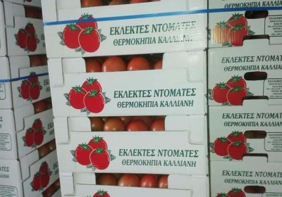 AGROEXPERTS – ΔΙΑΜΑΝΤΗ ΜΑΡΘΑ – ΓΕΩΡΓΙΚΑ ΕΦΟΔΙΑ ΚΥΠΑΡΙΣΣΙΑ ΜΕΣΣΗΝΙΑΣ