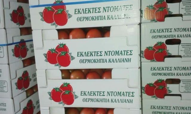 AGROEXPERTS – ΔΙΑΜΑΝΤΗ ΜΑΡΘΑ – ΓΕΩΡΓΙΚΑ ΕΦΟΔΙΑ ΚΥΠΑΡΙΣΣΙΑ ΜΕΣΣΗΝΙΑΣ