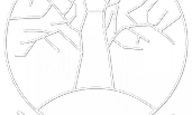 TOP WOOD ΜΟΝ ΙΚΕ – ΕΜΠΟΡΙΟ ΞΥΛΕΙΑΣ – ΜΑΓΟΥΛΑ ΑΤΤΙΚΗ