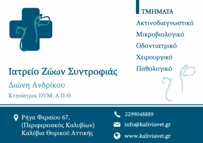 ΑΝΔΡΙΚΟΥ ΔΙΟΝΥΣΙΑ – ΚΤΗΝΙΑΤΡΟΣ – ΚΑΛΥΒΙΑ ΘΟΡΙΚΟΥ ΑΤΤΙΚΗ