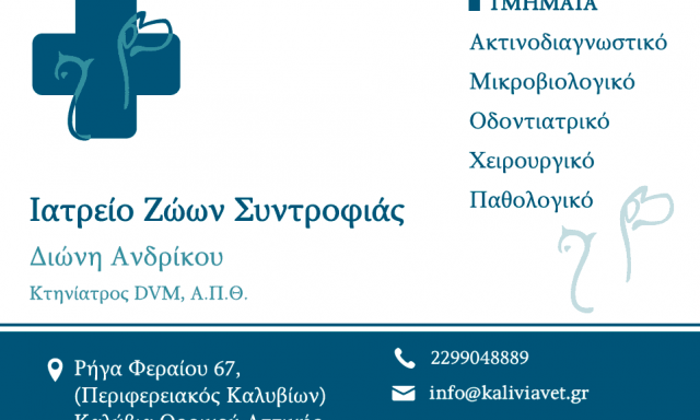 ΑΝΔΡΙΚΟΥ ΔΙΟΝΥΣΙΑ – ΚΤΗΝΙΑΤΡΟΣ – ΚΑΛΥΒΙΑ ΘΟΡΙΚΟΥ ΑΤΤΙΚΗ