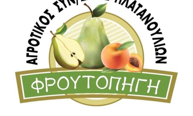 ΑΓΡΟΤΙΚΟΣ ΣΥΝΕΤΑΙΡΙΣΜΟΣ ΠΛΑΤΑΝΟΥΛΙΩΝ ΦΡΟΥΤΟΠΗΓΗ – ΠΛΑΤΑΝΟΥΛΙΑ-ΑΓΙΑ ΣΟΦΙΑ ΤΥΡΝΑΒΟΣ ΛΑΡΙΣΑ