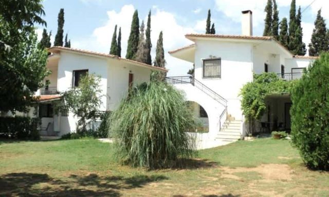 ΠΑΠΑΣΤΑΥΡΟΥ ΜΑΡΙΑ – ΕΝΟΙΚΙΑΖΟΜΕΝΑ ΔΙΑΜΕΡΙΣΜΑΤΑ MARIETTA’S APARTMENTS – ΑΓΙΟΣ ΑΝΔΡΕΑΣ ΜΕΣΣΗΝΙΑΣ