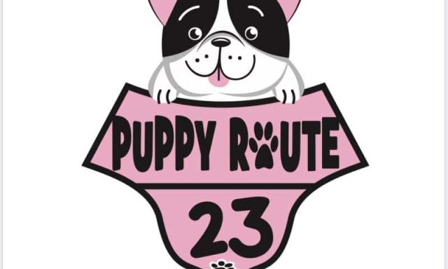 ΚΑΡΑΝΙΚΟΛΑ ΧΑΡΙΤΩΜΕΝΗ – PUPPY ROUTE 23 – ΚΟΜΜΩΤΗΡΙΟ ΜΙΚΡΩΝ ΖΩΩΝ – ΠΑΛΑΙΟ ΦΑΛΗΡΟ ΑΤΤΙΚΗ