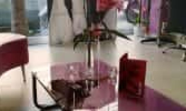 ΛΥΡΑ ΓΕΩΡΓΙΑ – SOFIA HAIRSTYLE – ΚΟΜΜΩΤΗΡΙΟ – ΒΟΤΑΝΙΚΟΣ ΑΤΤΙΚΗ