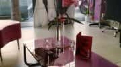 ΛΥΡΑ ΓΕΩΡΓΙΑ – SOFIA HAIRSTYLE – ΚΟΜΜΩΤΗΡΙΟ – ΒΟΤΑΝΙΚΟΣ ΑΤΤΙΚΗ