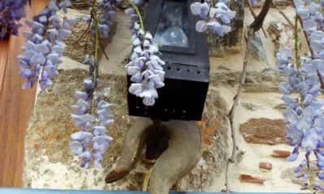 ARCHONTIKO SOULIOTI – ΣΟΥΛΙΩΤΗΣ ΘΕΟΔΩΡΟΣ – ΕΝΟΙΚΙΑΖΟΜΕΝΑ ΔΩΜΑΤΙΑ – ΑΓΙΑ ΛΑΡΙΣΑ ΘΕΣΣΑΛΙΑ