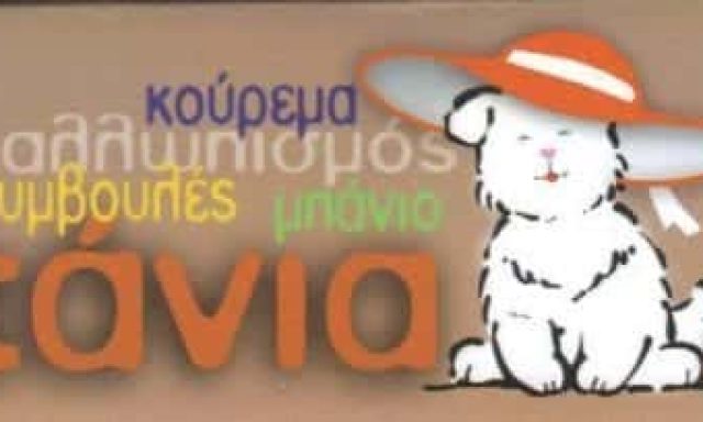 ΤΑΝΙΑ – ΡΕΝΤΑ ΚΩΝΣΤΑΝΤΙΝΑ – ΠΕΡΙΠΟΙΗΣΗ ΚΑΤΟΙΚΙΔΙΩΝ – ΓΑΛΑΤΣΙ ΑΤΤΙΚΗ