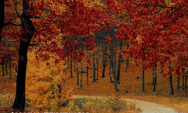 ΤΣΙΜΠΙΝΟΥ ΜΑΡΙΑ – ΨΥΧΟΛΟΓΟΣ – ΓΛΥΦΑΔΑ ΑΤΤΙΚΗ