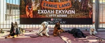 SAMIS LAND – ΣΤΑΘΕΡΟΠΟΥΛΟΣ ΣΑΜΟΥΗΛ – ΕΚΠΑΙΔΕΥΣΗ ΚΑΤΟΙΚΙΔΙΩΝ ΑΥΛΩΝΑΣ ΑΤΤΙΚΗΣ