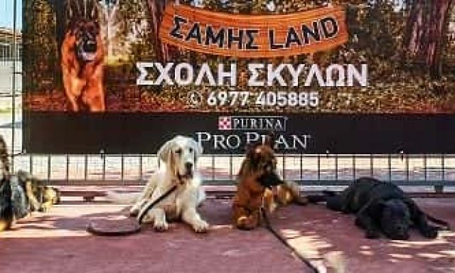 SAMIS LAND – ΣΤΑΘΕΡΟΠΟΥΛΟΣ ΣΑΜΟΥΗΛ – ΕΚΠΑΙΔΕΥΣΗ ΚΑΤΟΙΚΙΔΙΩΝ ΑΥΛΩΝΑΣ ΑΤΤΙΚΗΣ