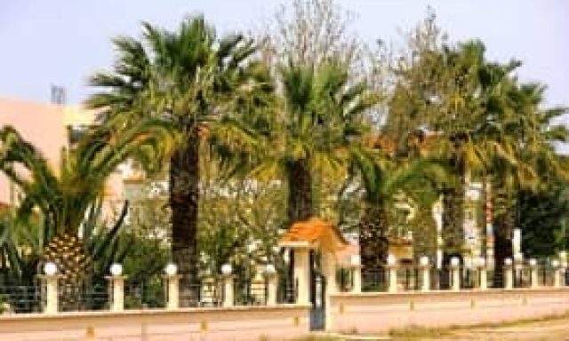 ΟΙΚΟΝΟΜΟΥ ΠΑΝΑΓΙΩΤΑ – ELENA ROOMS – ΕΝΟΙΚΙΑΖΟΜΕΝΑ ΔΩΜΑΤΙΑ – ΚΑΣΤΡΟΣΥΚΙΑ ΠΡΕΒΕΖΑΣ