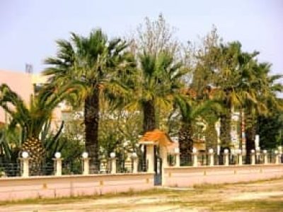 ΟΙΚΟΝΟΜΟΥ ΠΑΝΑΓΙΩΤΑ – ELENA ROOMS – ΕΝΟΙΚΙΑΖΟΜΕΝΑ ΔΩΜΑΤΙΑ – ΚΑΣΤΡΟΣΥΚΙΑ ΠΡΕΒΕΖΑΣ