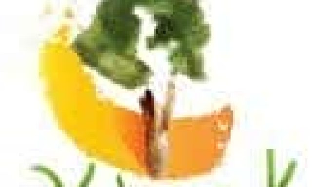 ΧΙΩΤΗΣ ΚΩΝΣΤΑΝΤΙΝΟΣ – ΦΥΤΩΡΙΑ ΒΛΑΧΙΩΤΗΣ ΛΑΚΩΝΙΑΣ