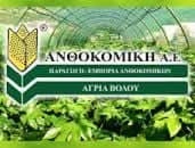 ΑΝΘΟΚΟΜΙΚΗ Α.Ε. ΚΩΣΤΟΥΛΑ ΕΥΓΕΝΙΑ – ΦΥΤΩΡΙΟ ΑΝΘΟΚΟΜΙΚΑ – ΑΓΡΙΑ ΒΟΛΟΥ ΜΑΓΝΗΣΙΑ