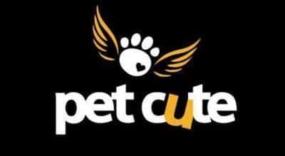 ΜΙΧΑΗΛ ΤΣΙΡΙΓΩΤΑΚΗΣ – PET CUTE – PET SHOP ΚΟΡΥΔΑΛΛΟΣ ΑΤΤΙΚΗ