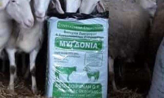 ΜΥΓΔΟΝΙΑ – ΑΦΟΙ ΔΟΪΡΑΝΛΗ Ο.Ε. – ΒΙΟΤΕΧΝΙΑ ΖΩΟΤΡΟΦΩΝ – ΛΑΓΚΑΔΑΣ ΘΕΣΣΑΛΟΝΙΚΗ