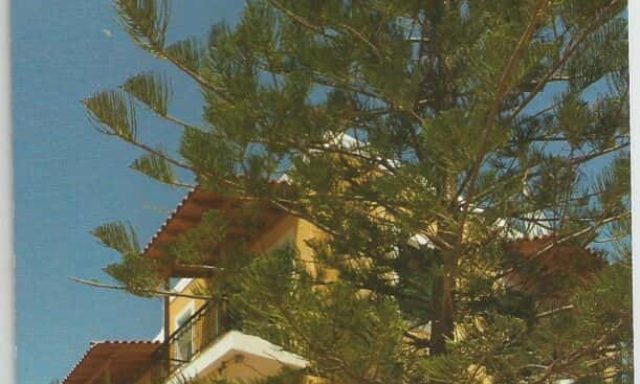 VENETIA STUDIOS – ΜΟΥΡΤΖΗΣ ΙΩΑΝΝΗΣ – ΞΕΝΟΔΟΧΕΙΟ – ΠΕΡΔΙΚΑ ΑΙΓΙΝΑ ΑΤΤΙΚΗ