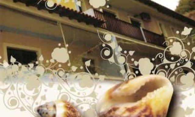 ΚΟΧΥΛΙ HOTEL – ΣΥΡΑΗΣ ΣΤΑΥΡΟΣ – ΞΕΝΟΔΟΧΕΙΟ – ΠΗΛΙΟ ΤΣΑΓΚΑΡΑΔΑ ΜΑΓΝΗΣΙΑΣ