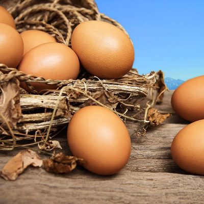 ΜΩΛΟΣ ΠΡΟΚΟΠΗΣ ΕΥΑΓΓΕΛΟΣ – ΑΓΡΟΠΤΗΝΟΤΡΟΦΟΣ – ΜΕΓΑΡΑ ΑΤΤΙΚΗ