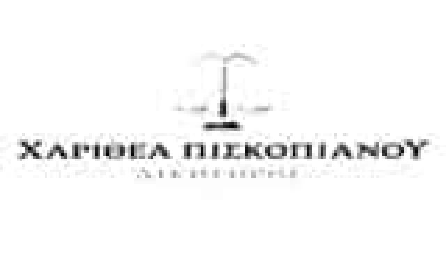 ΠΙΣΚΟΠΙΑΝΟΥ ΧΑΡΙΘΕΑ – ΔΙΚΗΓΟΡΟΣ-ΔΙΚΗΓΟΡΙΚΟ ΓΡΑΦΕΙΟ  ΣΥΡΟΣ ΚΥΚΛΑΔΩΝ