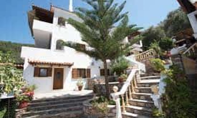 ΣΤΑΜΑΤΗ ΕΛΕΝΗ – NIKI STUDIOS – APARTMENTS – ΣΚΟΠΕΛΟΣ ΜΑΓΝΗΣΙΑ