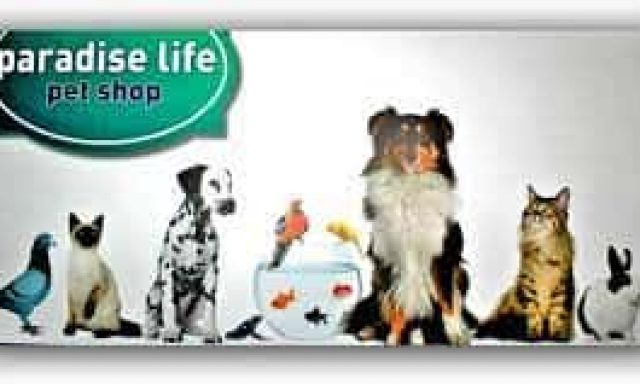 ΜΠΑΣΓΙΟΥΡΑΚΗΣ ΕΜΜΑΝΟΥΗΛ – PARADISE LIFE-PET SHOP – ΕΥΟΣΜΟΣ ΘΕΣΣΑΛΟΝΙΚΗ