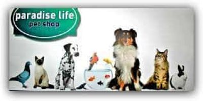 ΜΠΑΣΓΙΟΥΡΑΚΗΣ ΕΜΜΑΝΟΥΗΛ – PARADISE LIFE-PET SHOP – ΕΥΟΣΜΟΣ ΘΕΣΣΑΛΟΝΙΚΗ