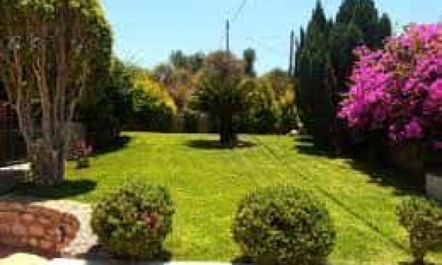 ΑΝΤΟΥΡΑΚΗΣ ΜΑΡΚΟΣ – ΣΥΝΤΗΡΗΣΗ ΚΗΠΩΝ ΚΗΠΟΤΕΧΝΙΑ – ΡΕΘΥΜΝΟ ΚΡΗΤΗΣ