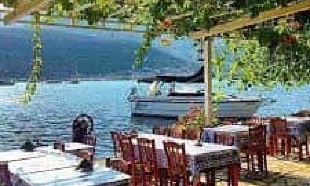 ΠΑΞΙΝΟΥ ΕΛΕΝΗ – ΕΛΕΝΑ – ΨΑΡΟΤΑΒΕΡΝΑ – ΓΕΝΙ ΛΕΥΚΑΔΑ