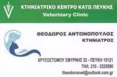 ΑΝΤΩΝΟΠΟΥΛΟΣ ΘΕΟΔΩΡΟΣ – ΚΤΗΝΙΑΤΡΟΣ ΚΤΗΝΙΑΤΡΕΙΟ – ΠΕΥΚΗ ΑΤΤΙΚΗ