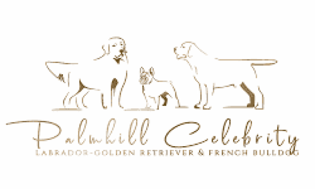 PALMHILL CELEBRITY – ΜΟΣΧΟΠΟΥΛΟΣ ΔΙΟΝΥΣΗΣ – ΕΚΠΑΙΔΕΥΤΗΣ ΖΩΩΝ – ΞΕΝΟΔΟΧΕΙΟ ΚΑΤΟΙΚΙΔΙΩΝ – ΑΥΛΩΝΑΣ ΑΤΤΙΚΗΣ