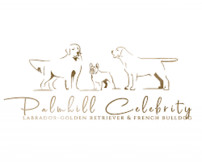 PALMHILL CELEBRITY – ΜΟΣΧΟΠΟΥΛΟΣ ΔΙΟΝΥΣΗΣ – ΕΚΠΑΙΔΕΥΤΗΣ ΖΩΩΝ – ΞΕΝΟΔΟΧΕΙΟ ΚΑΤΟΙΚΙΔΙΩΝ – ΑΥΛΩΝΑΣ ΑΤΤΙΚΗΣ