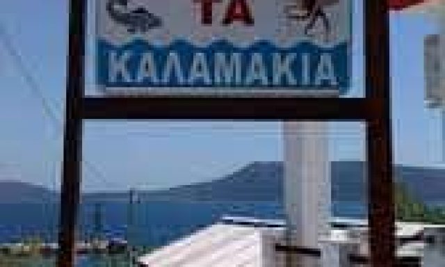 ΠΑΠΑΒΑΣΙΛΕΙΟΥ ΙΩΑΝΝΗΣ – ΤΑ ΚΑΛΑΜΑΚΙΑ – ΨΑΡΟΤΑΒΕΡΝΑ – ΚΑΛΑΜΑΚΙΑ ΑΛΛΟΝΗΣΟΣ ΜΑΓΝΗΣΙΑΣ